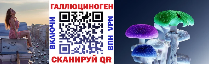 Псилоцибиновые грибы GOLDEN TEACHER  купить   Екатеринбург 